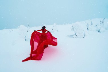 Winter Hill arka planında uzun kırmızı elbiseli güzel bir kadın ve kar yağışı. Kutup kışı manzarasında peri masalı kızı. Arkadan bak. Boşluğu kopyala.