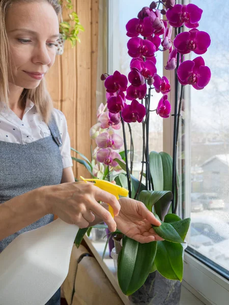 Вибірковий Фокус Жінка Садівник Обприскує Листя Пульверизатора Піклуючись Про Рослину — стокове фото