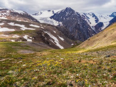 Güneşli yeşil çimen tepesinden yüksek karlı dağ sıralarına keskin tepeler ve bulutlu gökyüzünün altındaki buzullarla yaz manzarası. Değişken havada, büyük kar dağları olan renkli bir manzara..