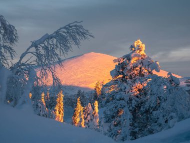 Karanlık akşam gökyüzü ile güzel, güneşli kutup dağı. Copper Hill 'de. Kış dağlarında gün batımı.
