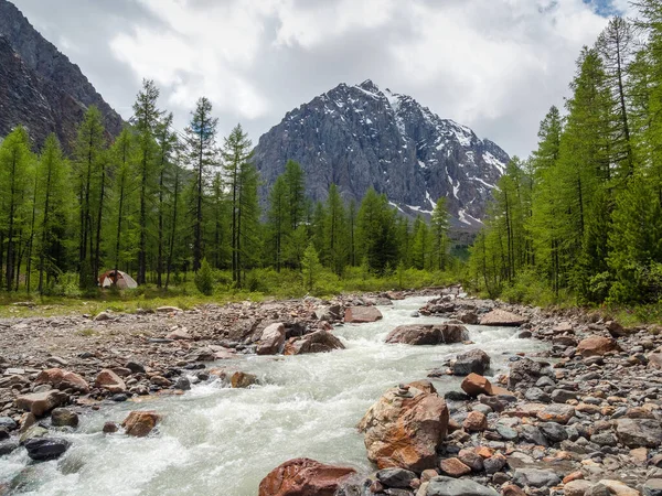 Úžasná Krajina Mohutnou Horskou Řekou Jehličnatým Lesem Zeleném Údolí Proti — Stock fotografie