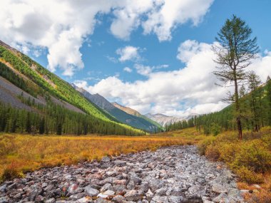 Alp Dağları yaz mevsiminde taştan bir nehir yatağı. Susuz nehir yatağı, yazın kuraklık. Nehir yatağı taşlarla döşenmiş.. 