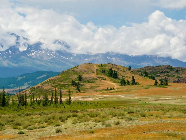 Remote trail through the mountains. Hiking up the mountain trail. A bright atmospheric minimalist Alpine landscape with a path among the grasses in the highlands. A path up the mountain.