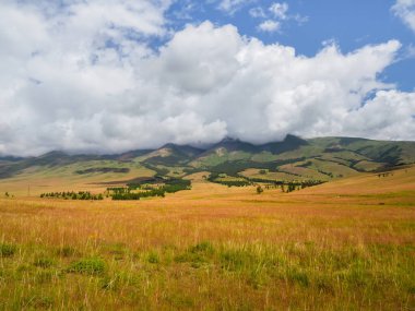 Parlak sonbahar bozkır manzarası. Steppe dağların arka planında. Tarımsal alanların ve dağların arka planı.