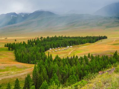 Collective camping with a green lawn in an eco-friendly green place on distance. Summer tourist complex, wooden guest houses against the background of fir-covered high mountains.