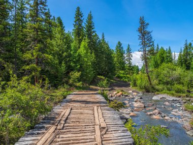 Old empty wooden bridge over a mountain river on the background of coniferous forest and mountains.
