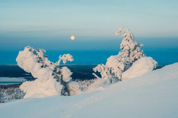 Polar dawn over a hill with a full moon. Full cold moon over a snow-covered winter slope. Winter polar night landscape. Cold winter weather. Harsh northern climate.