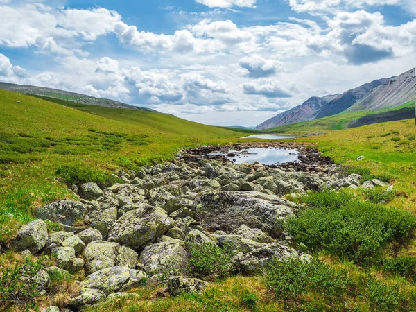 Summer sunny highlands. Stone riverbed in the summer Alpine highlands. The riverbed without water, the drought at the summer. The riverbed is paved with stones.