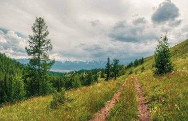 Green mountains landscape with old dirt road overgrown with grasses and flowers. Beautiful green mountain scenery with old track covered with lush vegetation. 