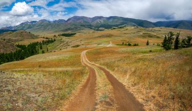 Dağların arasında bir patika. Dağ yolunda yürüyorum. Parlak bir atmosferik minimalist Alp manzarası. Dağlık arazideki otlar arasında kayalık bir patika. Dağ yamacına giden yol.