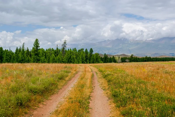 Trail through the mountains. Hiking up the mountain trail. A bright atmospheric Alpine landscape with a rocky path among the grasses in the highlands. The way up the mountainside.