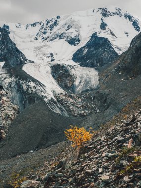Vertical view of the Big Glacier in autumn, high in the mountains, covered by snow and ice. Altai winter landscape. Poor vegetation of the highlands. 