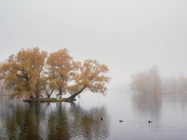 Soft focus. Morning fog on the lake. Mystical morning autumn landscape with fog over the lake. Foggy autumn landscape.