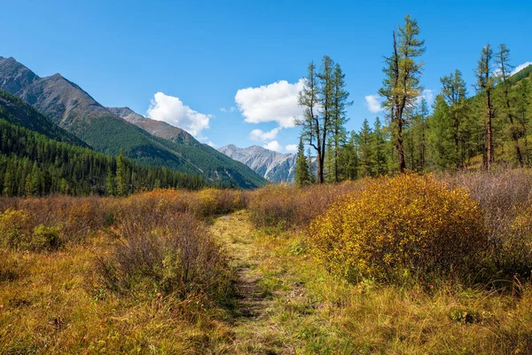 Hiking path through autumn mountains. Trekking mountain trail. Atmospheric golden alpine landscape with yellow grass footpath in highlands. Pathway uphill. Way up mountainside.