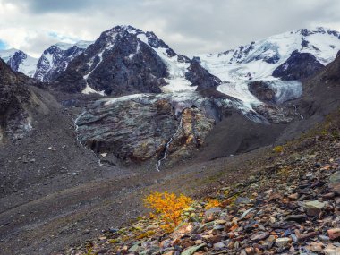 Buzul yüzeyinin dramatik doğal arka planı çatlaklarla dolu. Buz duvarının ve buzulun doğal arka planı. Karanlık bir buzulun güzel doğal dokusu..
