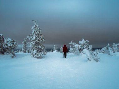 Soft focus. Lonely traveler in the twilight gloomy winter forest. Polar expedition. 