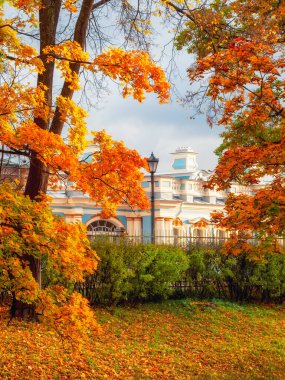 Golden autumn in Catherine Park, Tsarskoye Selo. Old city park with bright autumn golden maples on a sunny day. Vertical view.
