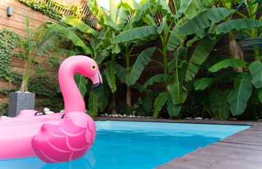 Şişme pembe şilte. Havuzda rahatla.