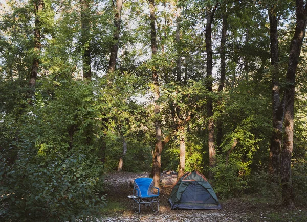 Forest, apri tenda e sedia. La scena dell'autunno riposa fuori. Paesaggio naturale — Foto Stock