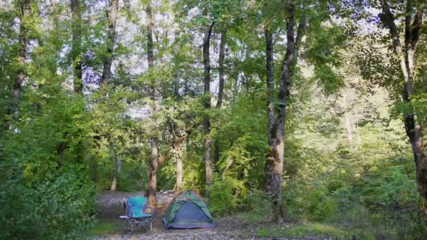 Skog, sätt upp tält och stol. Höstens scen vilar utanför. Naturlandskap — Stockvideo