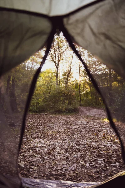 Sunbeam, vista dall'interno della tenda nella foresta. Riposo attivo, campeggio — Foto Stock