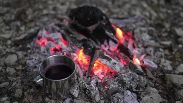 Una tazza con una bevanda calda viene riscaldata in un fuoco in un campo. Riposo accogliente, crepuscolo — Video Stock