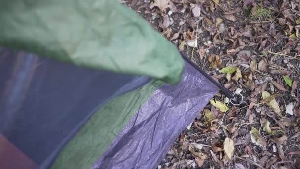 A montar uma tenda na floresta. Acampamento na natureza. Preparação do local de descanso — Vídeo de Stock