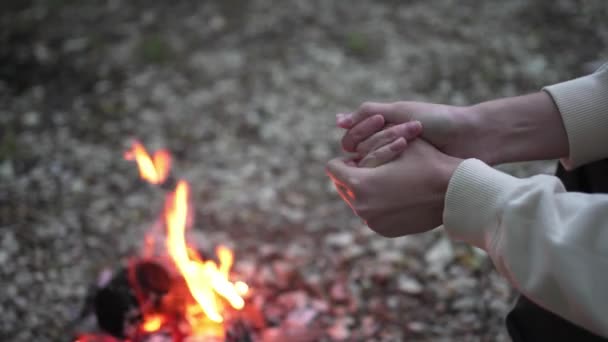 Osoba si ohřeje ruce malým ohněm v přírodě v lese. Soumrak, hořící oheň v táboře. Detailní záběr — Stock video