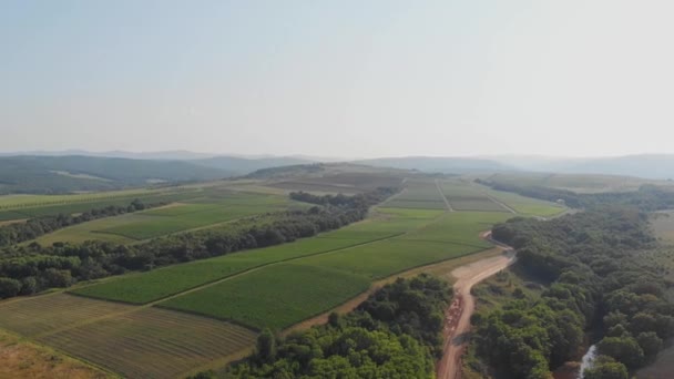 Grüne Sommerhügel - Landschaft aus der Luft. Wiesen und Bäume in der warmen Jahreszeit — Stockvideo