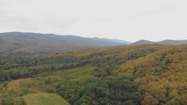 Vista de Aero - floresta de outono selvagem. Pequenas montanhas cobertas de árvores densas — Vídeo de Stock