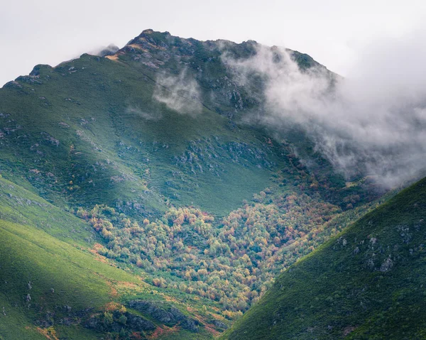Ein Großer Berg Nebel Mit Birkenwald Seinem Tal Ancares Gebirge — Stockfoto