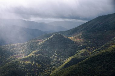 Lugo Galiçya 'daki Courel Dağlık Geopark' ta yağmurlu bir günün ortasında bir ışık açıklığında ağaçlık bir piramit tepesi.