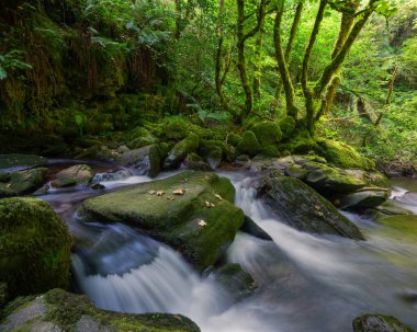 Yaz sonlarında, Lugo Galiçya 'daki Courel Mountain Range Geopark' taki derin bir vadideki şelalede loş ışık.