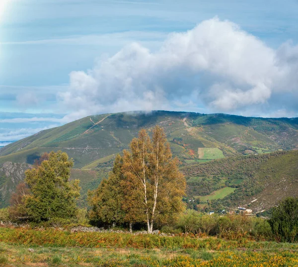 Chmura Szczotkuje Szczyt Góry Przed Niektórymi Drzewami Które Żółkną Wczesną — Zdjęcie stockowe