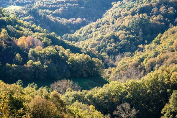 Ausgedehnte Laubwälder Bedecken Hektar Land Nogais Lugo Galicia — Stockfoto