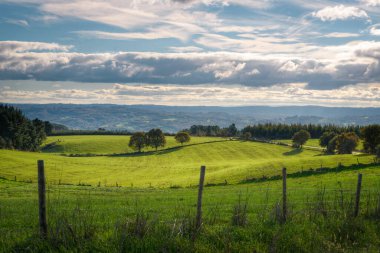 Greenery in the meadows of the Galician countryside in Taboada Lugo