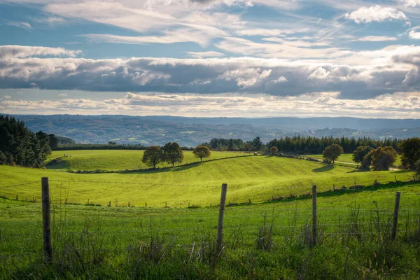 Greenery in the meadows of the Galician countryside in Taboada Lugo