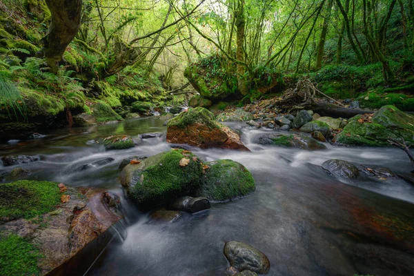 Ein Fluss Fließt Zwischen Bemoosten Felsen Und Jahrhundertealten Eichen Courel — Stockfoto