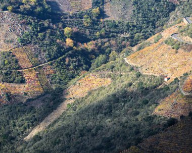 Gece ışıkları Galiçya 'daki Ribeira Sacra' da teraslı üzüm bağlarını aydınlatıyor.