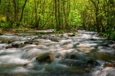 Galiçya 'daki Navia de Suarna' da kayalar ve huş ağaçları arasındaki nehirde ışıklar ve gölgeler.