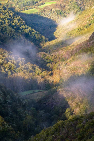 加利西亚卢戈Ancare山脉橡树和栗树林和草地的朦胧景象 — 图库照片