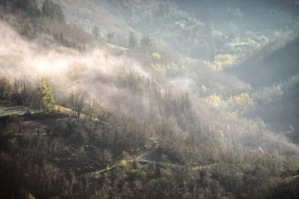 Morgennebel Löst Sich Auf Und Enthüllt Die Bewaldete Landschaft Von — Stockfoto