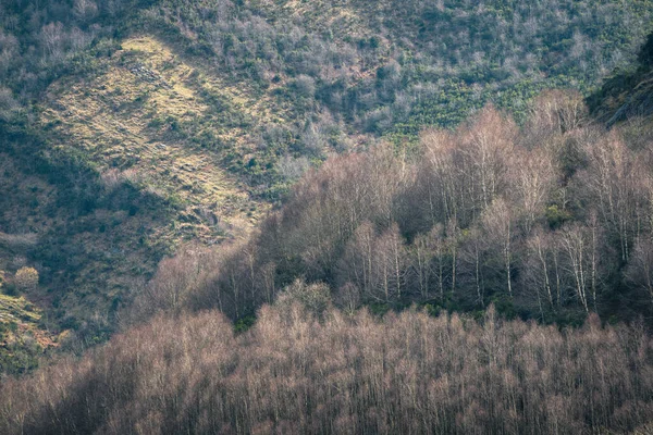 Jarem První Výhonky Mění Vzhled Listnatých Lesů Geoparku Courel Mountains — Stock fotografie