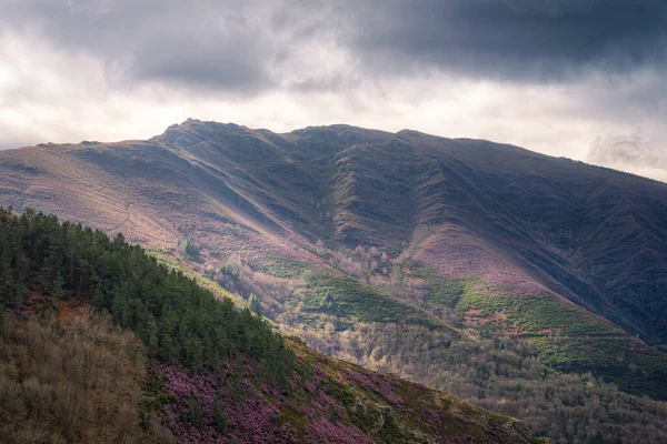 Wolkenverhangene Gipfel Und Mit Blühendem Heidekraut Bedeckte Hänge Geopark Courel — Stockfoto