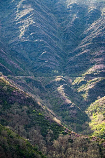Steile Bäche Führen Die Steilen Hänge Der Serra Courel Geopark — Stockfoto