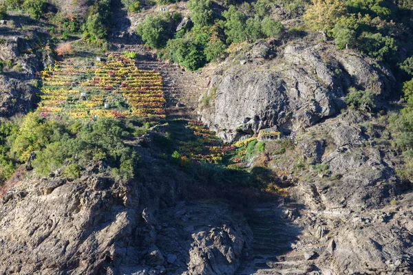 Terrassenwijngaarden Kleine Wijnkelders Tussen Leisteenkliffen Bij Taboada Ribeira Sacra Lugo — Stockfoto