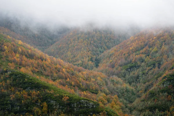 Ausgedehnte Autochthone Herbstliche Laubwälder Bedecken Das Oribio Gebirge Triacastela Der — Stockfoto