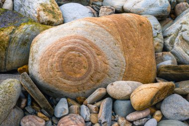 Loiba Espasante Galiçya sahilindeki kumtaşında turuncu pigmentlerin ilginç dairesel oluşumları