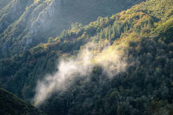 霧の噴出は ガリツィアのアンカレス山脈の原生林と岩の峡谷を通って浮かんでいます — ストック写真