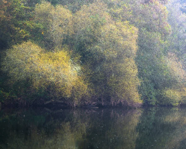 In October the willows that grow on the banks of the river turn yellow on the outskirts of Lugo Galicia